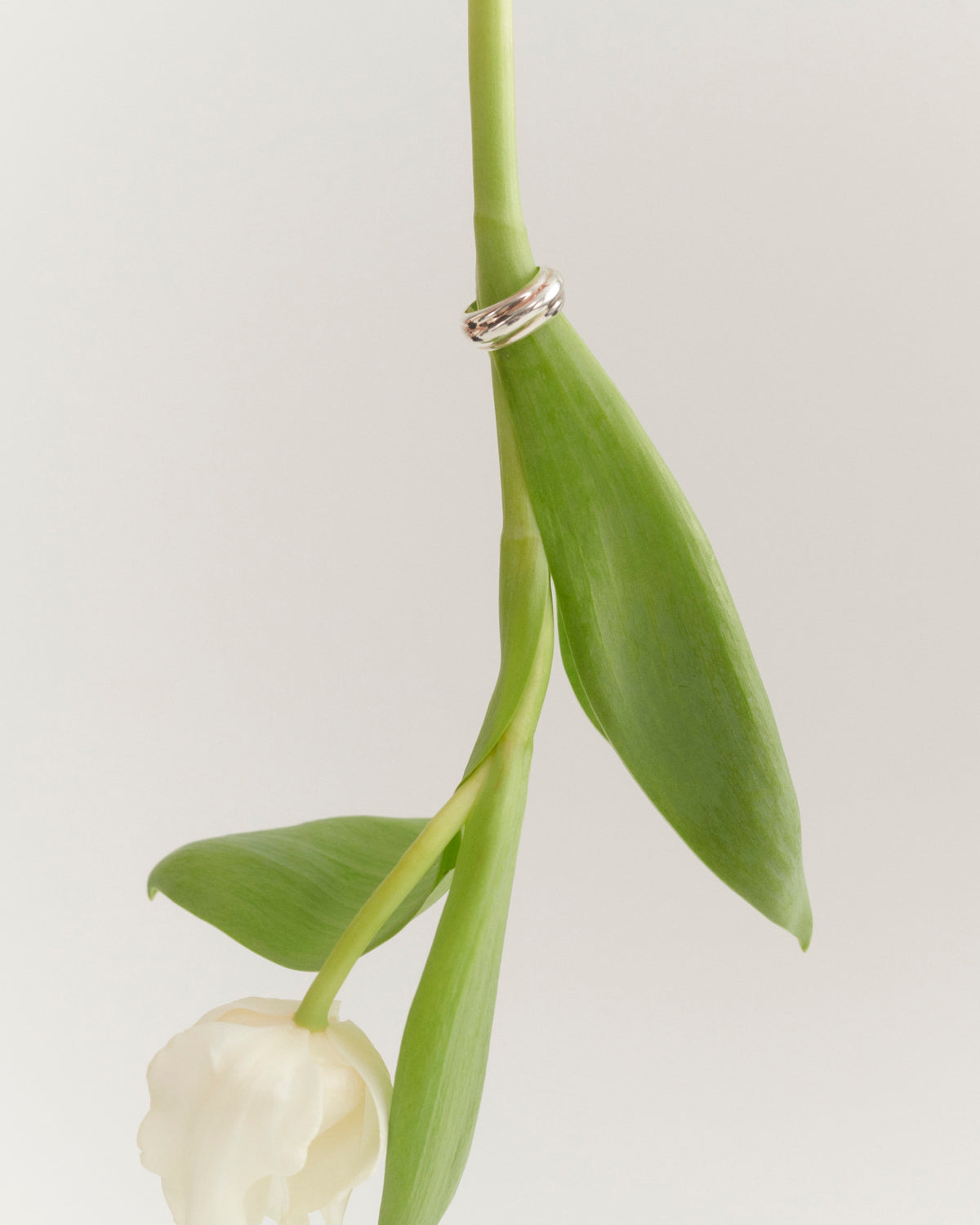 Tamle Jewelry Ring